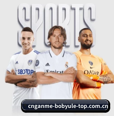 bob在线娱乐 APP