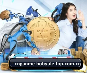 bob在线娱乐 APP